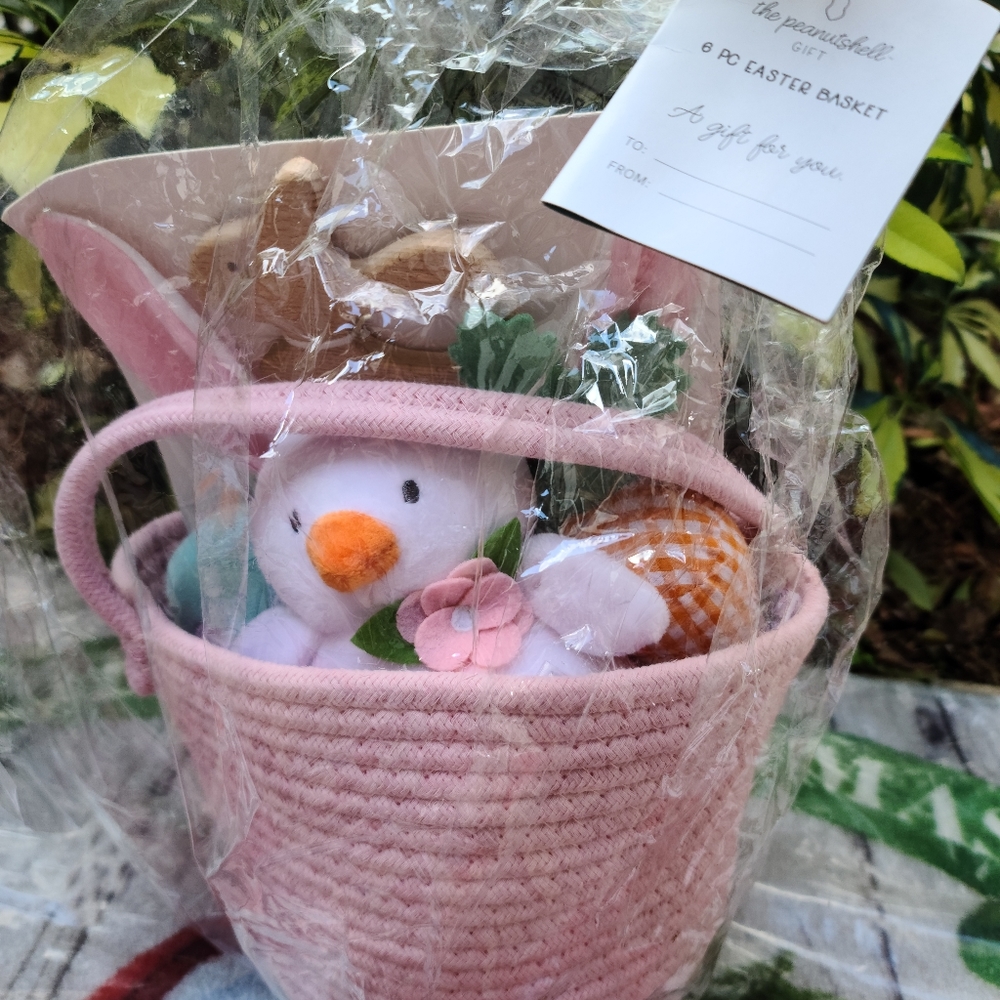 Brand New Pretty Pink 6pc Easter Basket